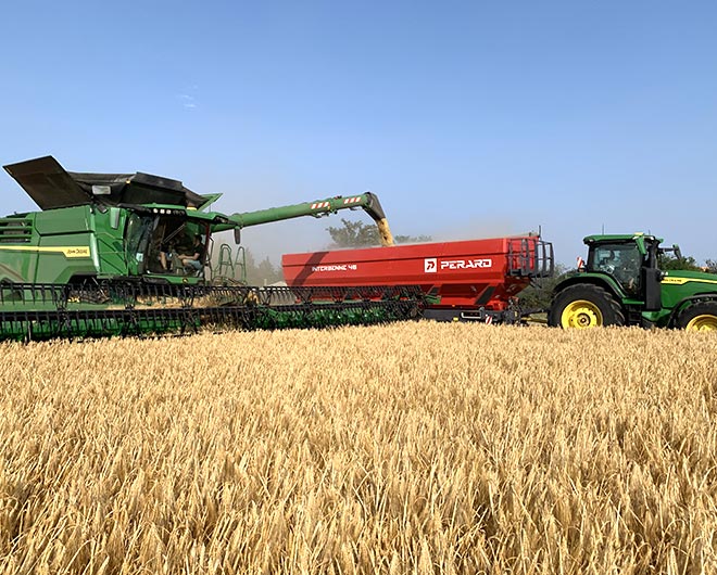 agriculture
