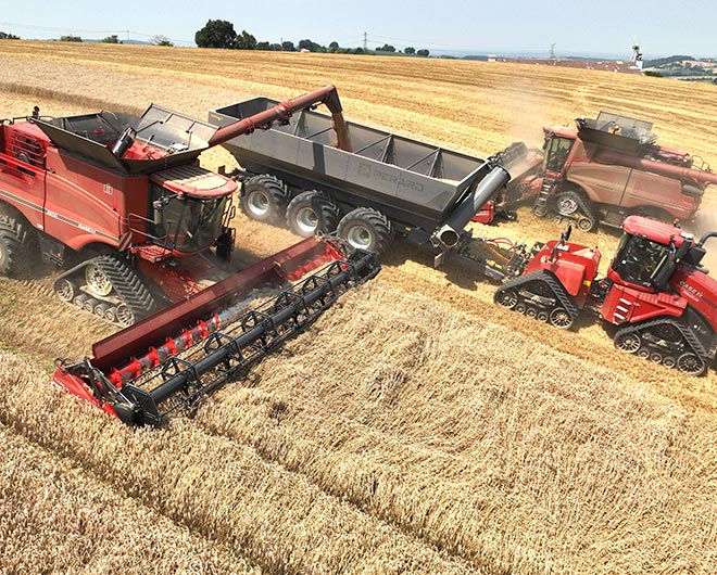 agriculture