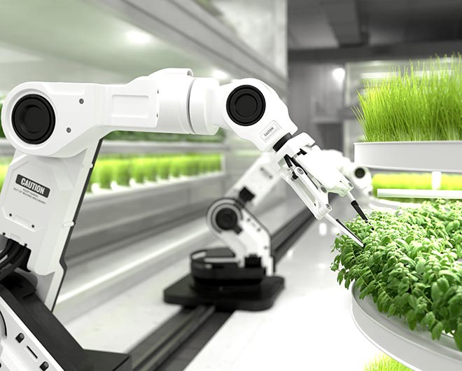 agriculture